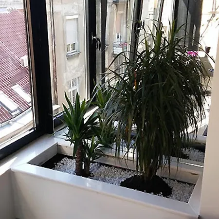 アパート Savamala Art ベオグラード